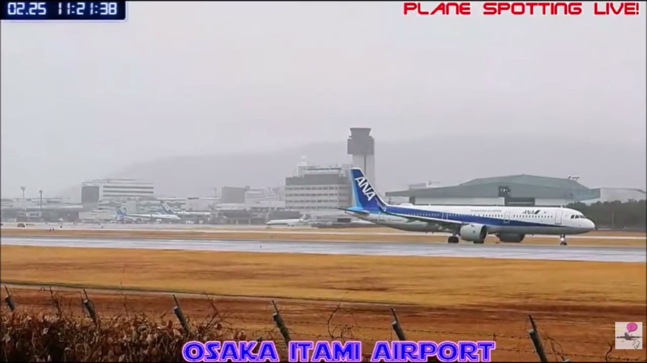 【ATC付】どうした？NH22便羽田行、一旦離陸取りやめて、待機後離陸。伊丹空港02/25/2026