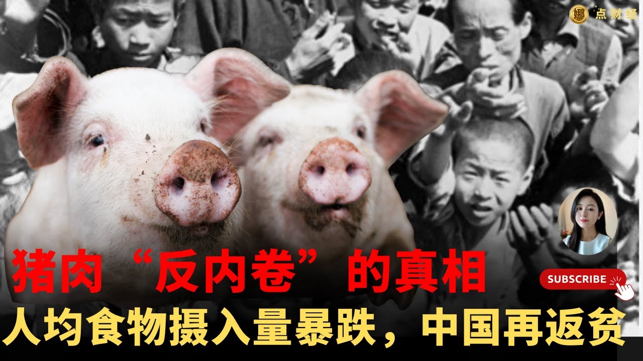 猪肉&ldquo;反内卷&rdquo;的真相，人均食物摄入量暴跌，中国再返贫/行业分析（娜点财经20250729）