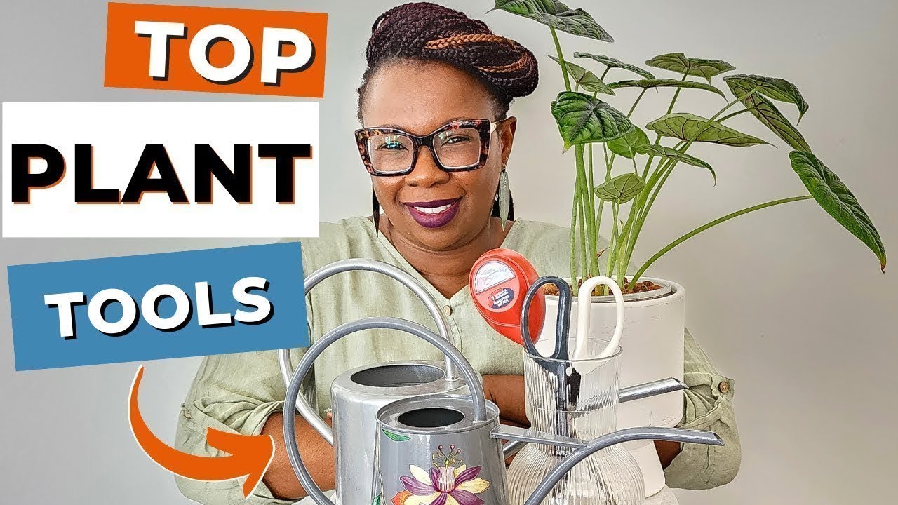 The 10 Indoor Plant Tools You Need Now