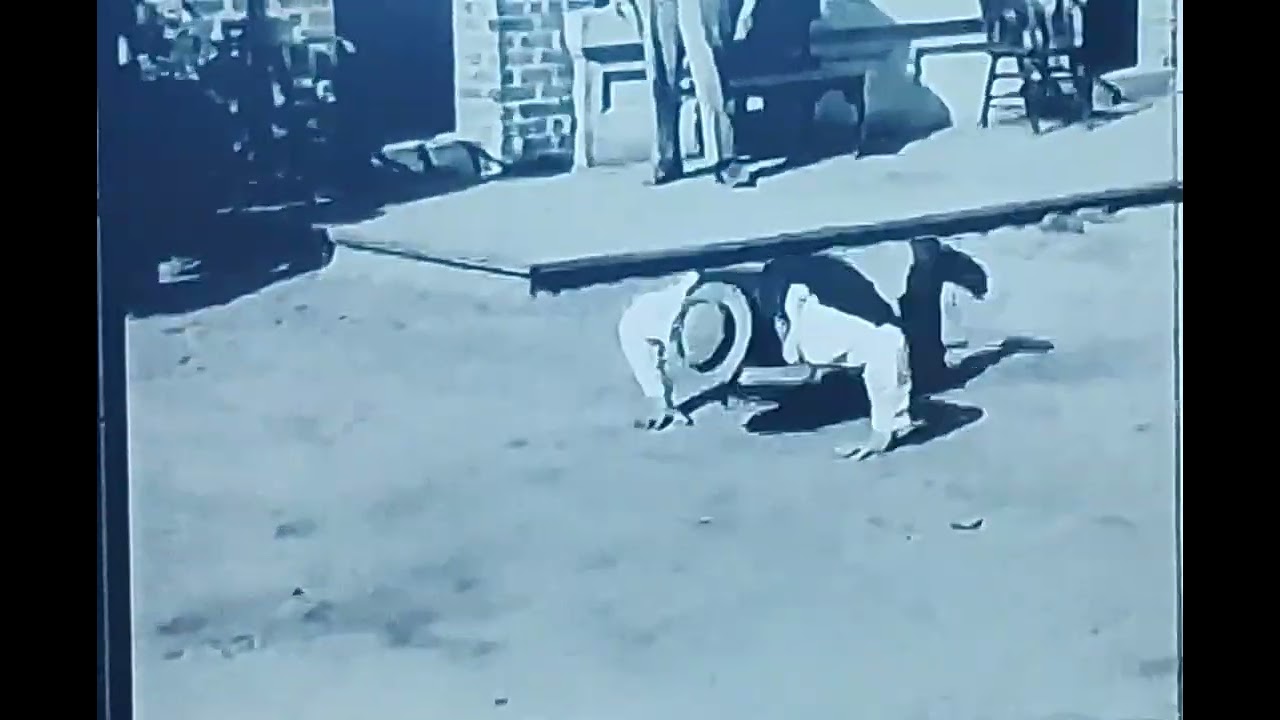 The Buster Keaton Story (1957) with Donald O'Connor