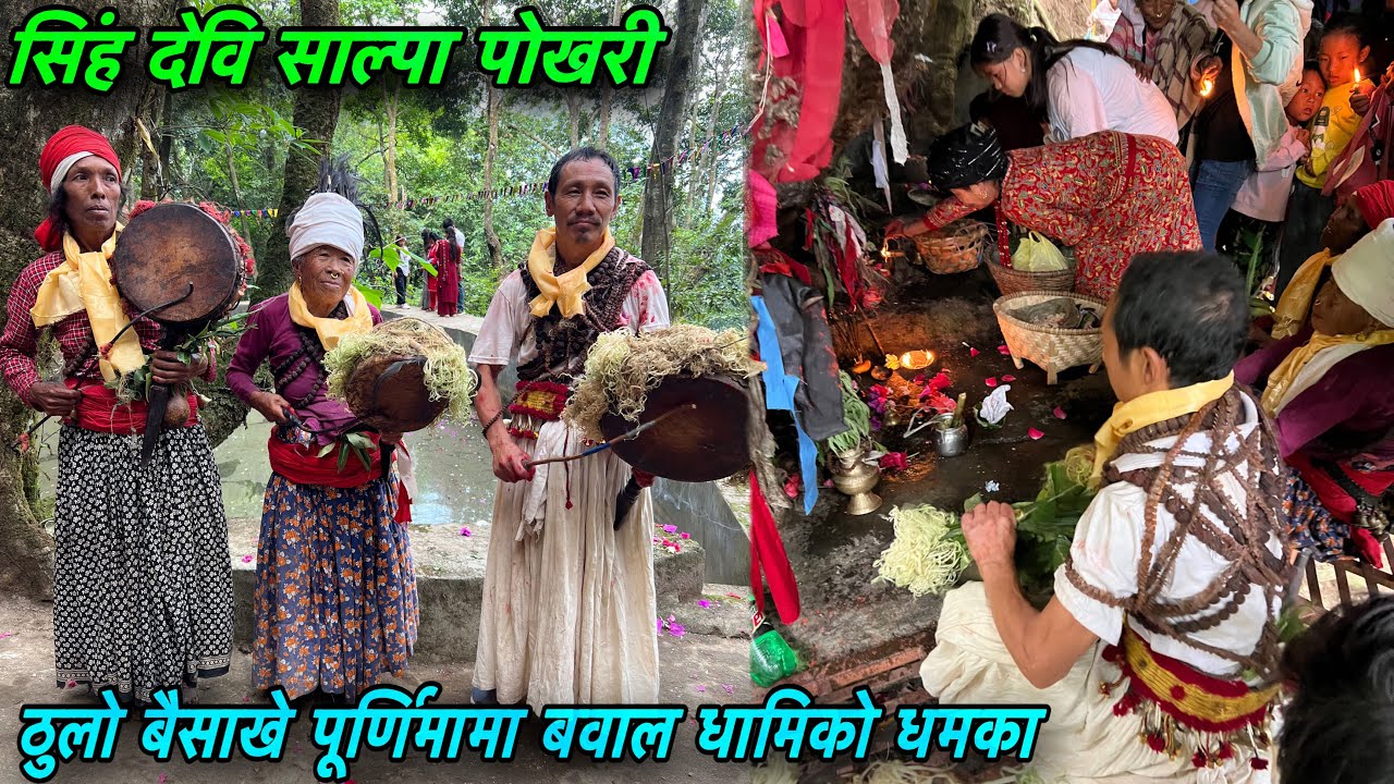 NEPALI SHAMANISM AT SANGRANG DINGLA BHOJPUR | JHAKRI | DHAMI | NEPALI RAI JHAKRI | VILLAGE CULTURE |