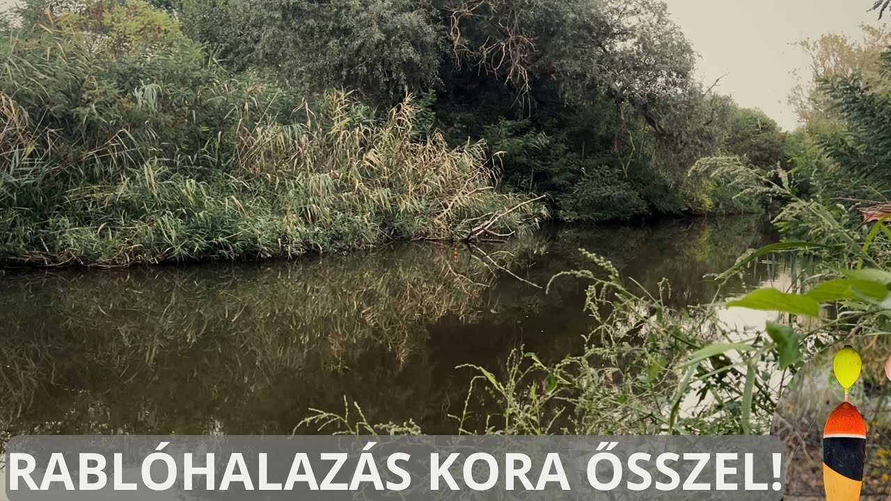 Úszós süllő horgászat! 🐟🍂