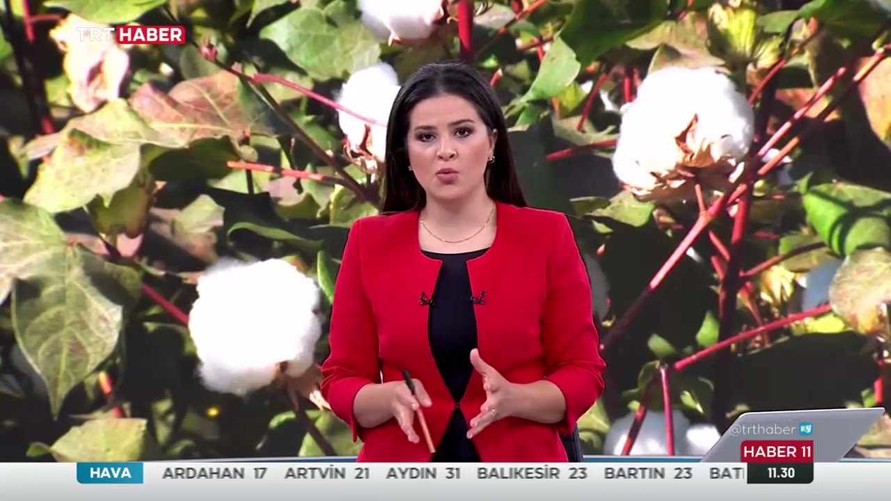 GAP İdaresi Başkan Vekili Mehmet Açıkgöz'ün ”İyi Pamuk” Projesi kapsamında  TRT Haber Röportajı