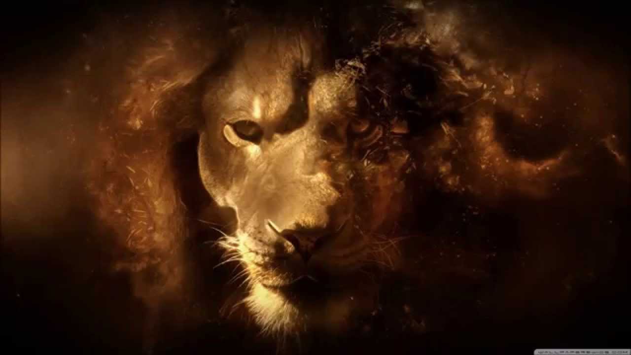 Tribe Society - Kings [Lyrics]