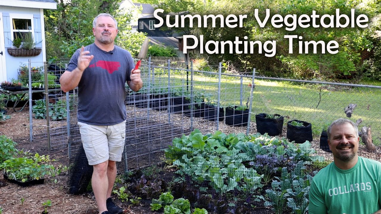 🍅🫑Summer Vegetables🥔🥒 - Tomatoes, Peppers, Squash, Cucumbers, Okra