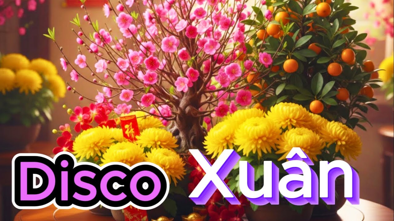 🎵 Ca khúc: Ngày Về Có Nắng ,Tết Ơi #ThienThienChannel