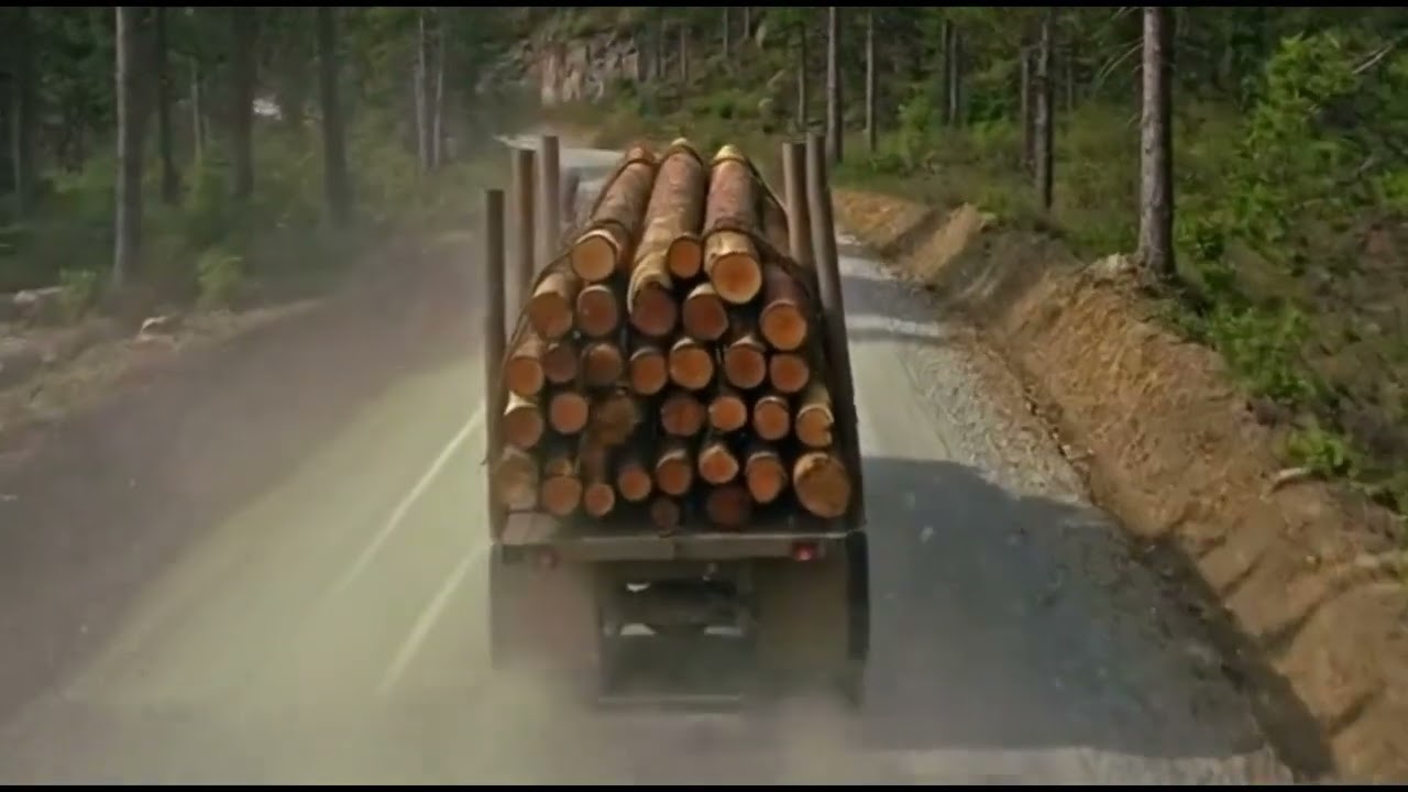 how not to reach a destination # Truck #crash #wood #forest