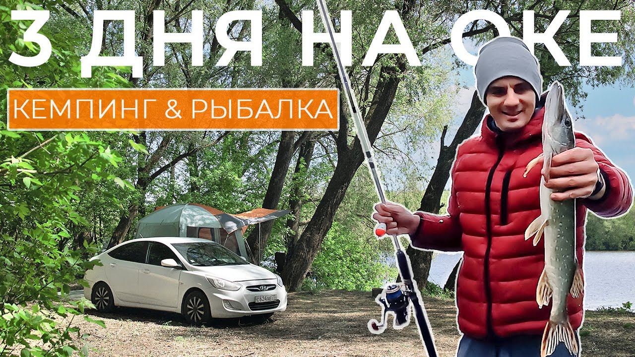 Новое место на ОКЕ. Открываю сезон 2025. Кемпинг & Рыбалка