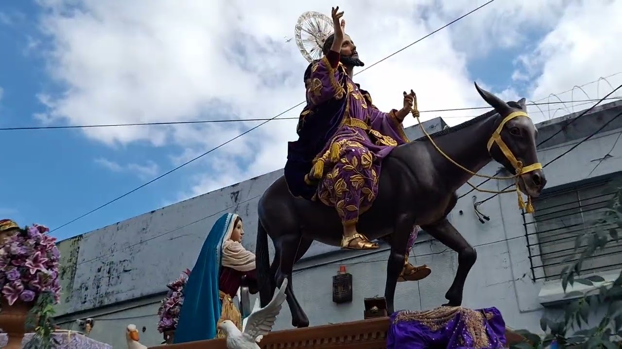 Procesión de la C. I. De Jesús de las Palmas, La Burriquita, domingo de ramos 13 de abril de 2025