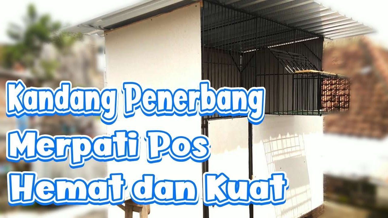 Membuat Kandang Penerbang Merpati Pos