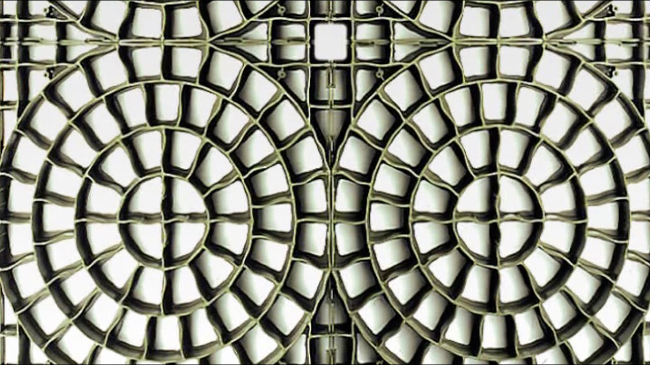 PRATOPRATICO® Grille pour terminer le pavage des entrées avec de l'herbe ou le gravier