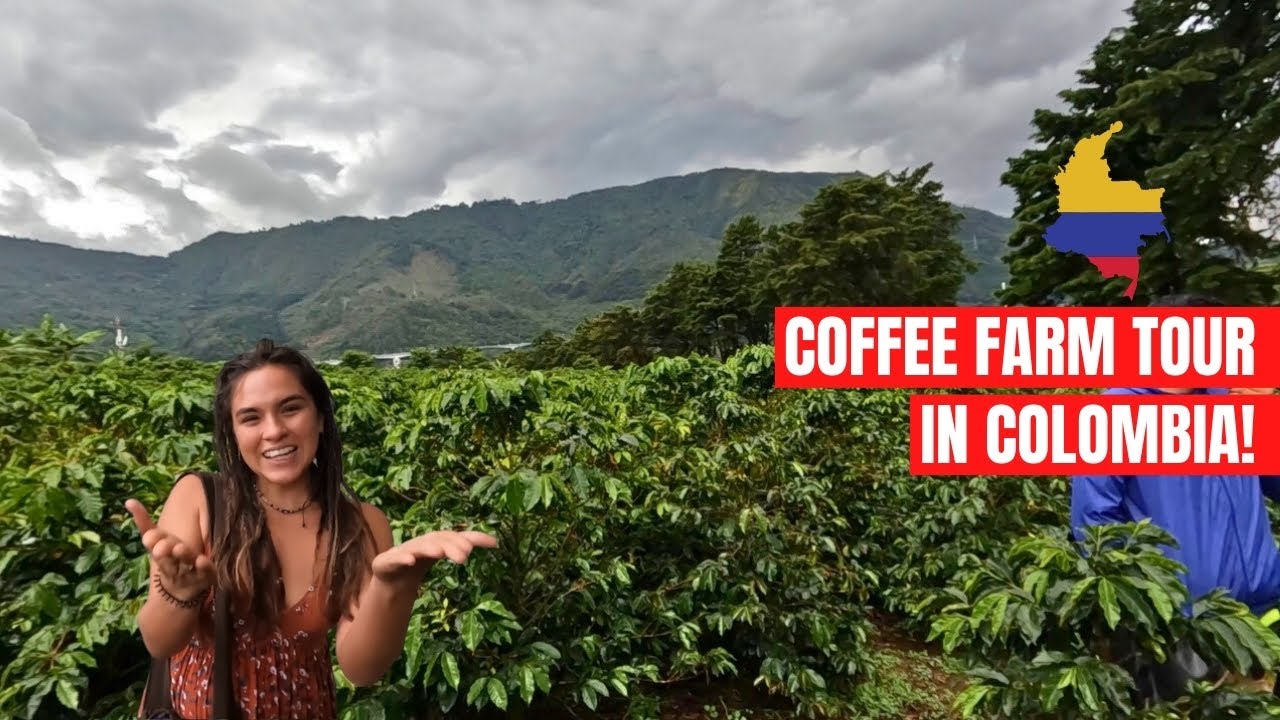 Coffee Tour in Medellin's Most Dangerous Barrio