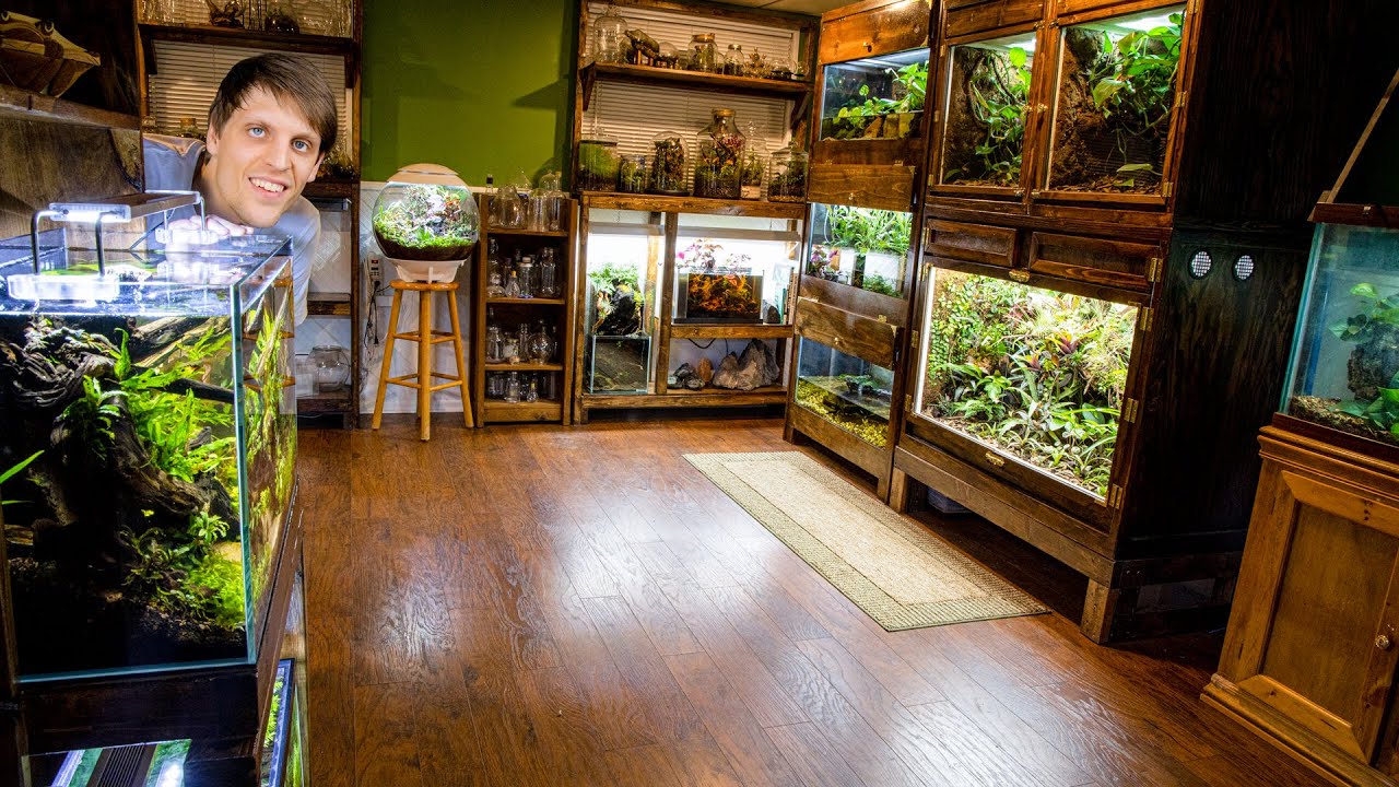 EPIC Tour of EVERYTHING in THE Animal Room (Spring 2020 Update)