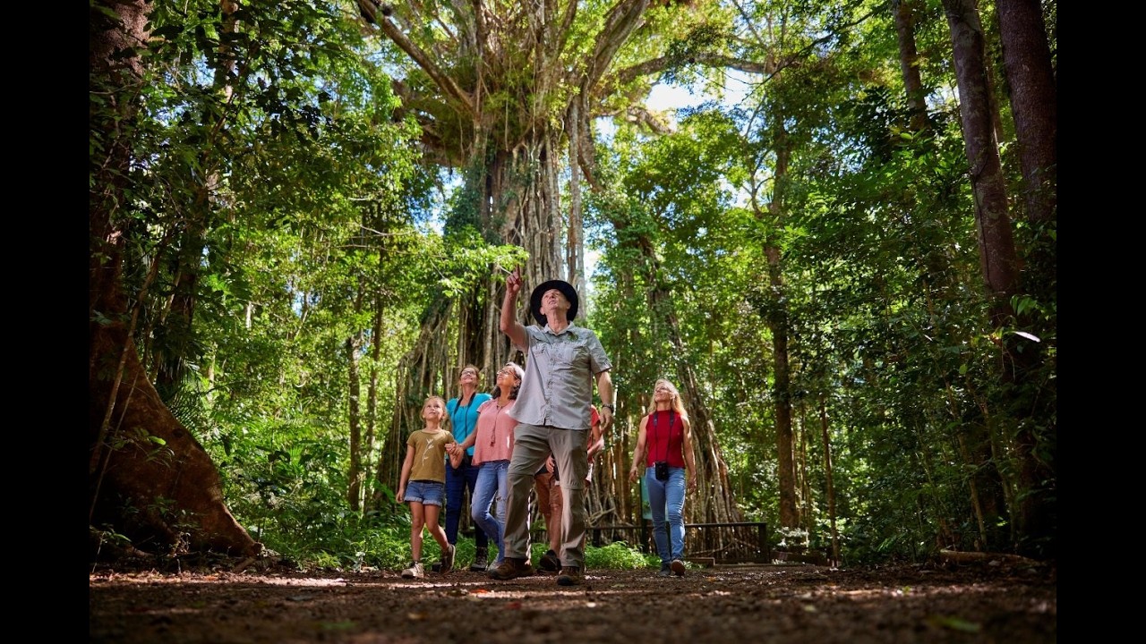 Cairns Rainforest Tour | Half Day Wildlife Spotting Tour in the Cairns Rainforest #Cairns #platypus