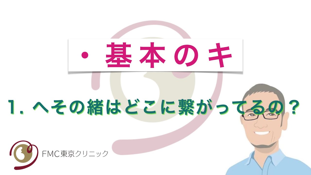 【基本のキ】1. 胎児のへその緒は、どこに繋がっているの？
