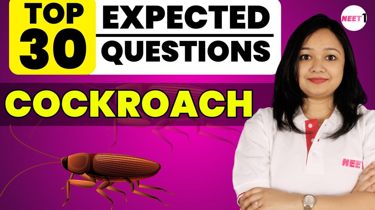 Top 30 Expected Questions Cockroach | #neet #neet2024 #cockroach | KQ Ma'am