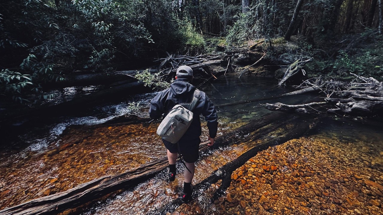 Pesca y Aventura: Caminé kilómetros explorando ríos de montaña