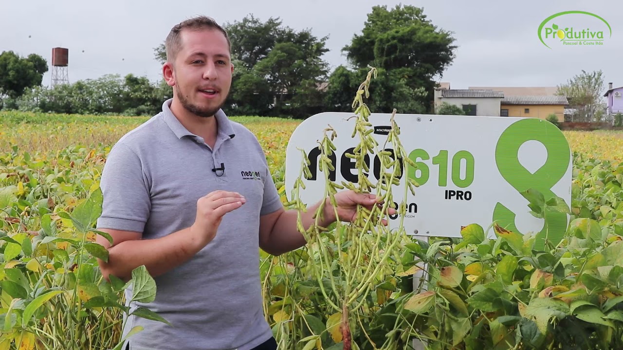 PRIMEIRO DIA DE CAMPO VIRTUAL PRODUTIVA INSUMOS AGRÍCOLAS - NEO 610 IPRO