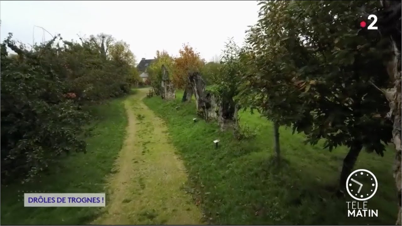 Les trognes - reportage Telematin (France 2) du 10-01-2020