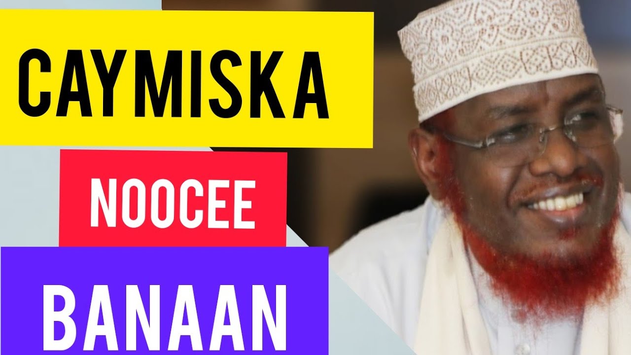 Caymiska Noocee Banaan?: SH. UMAL