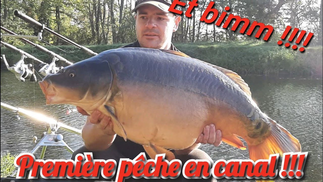 carpe de canal du centre!!!