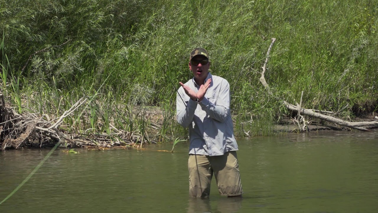 How to Make an Overhead Cast - from RIO Products | AvidMax