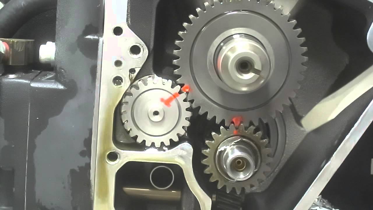 MVI 1177