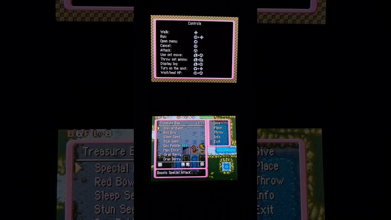 Pokemon dungeon.