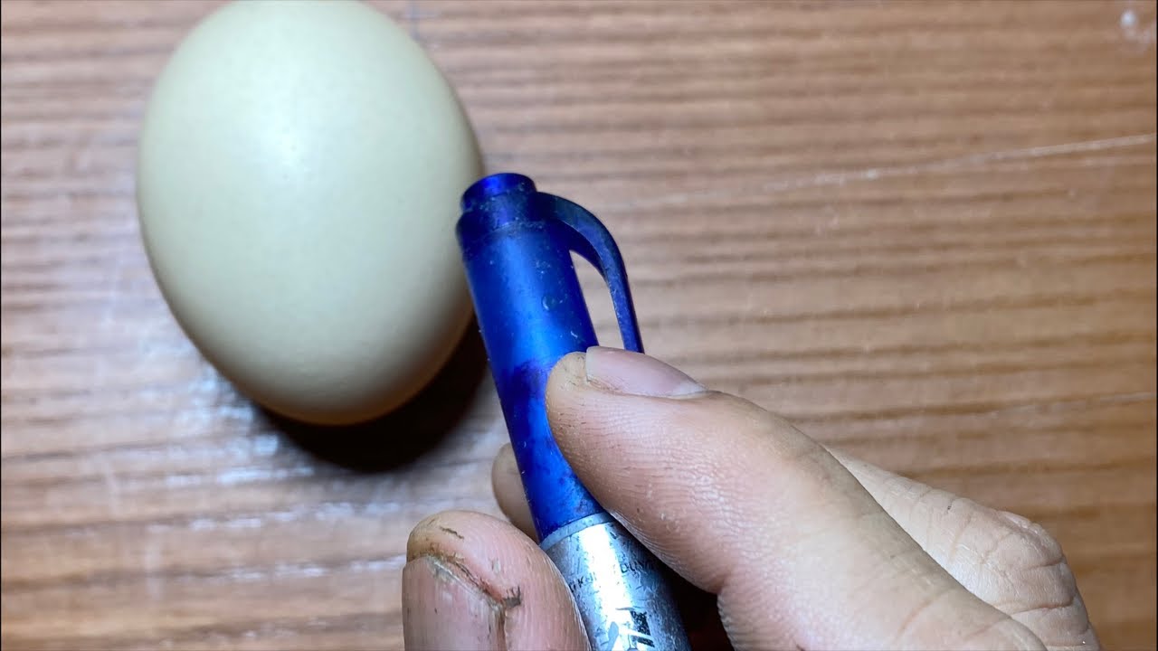 RAW EGG PEELING LIVE