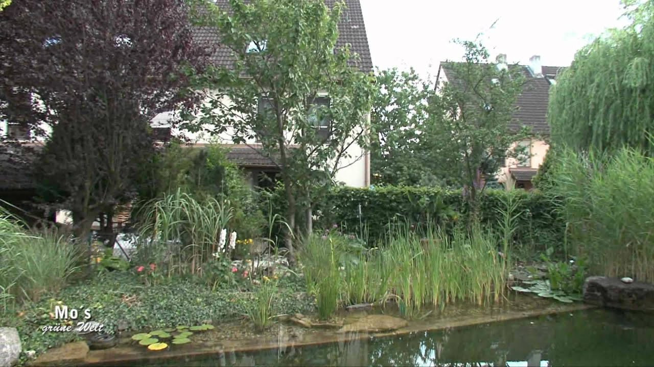 Schwimmteich im Reihenhausgarten