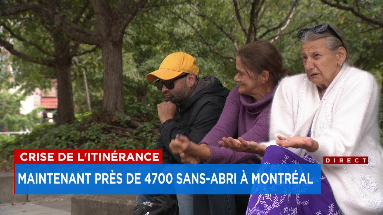 EN IMAGES | Le plus gros campement clandestin à Montréal - explications 17h