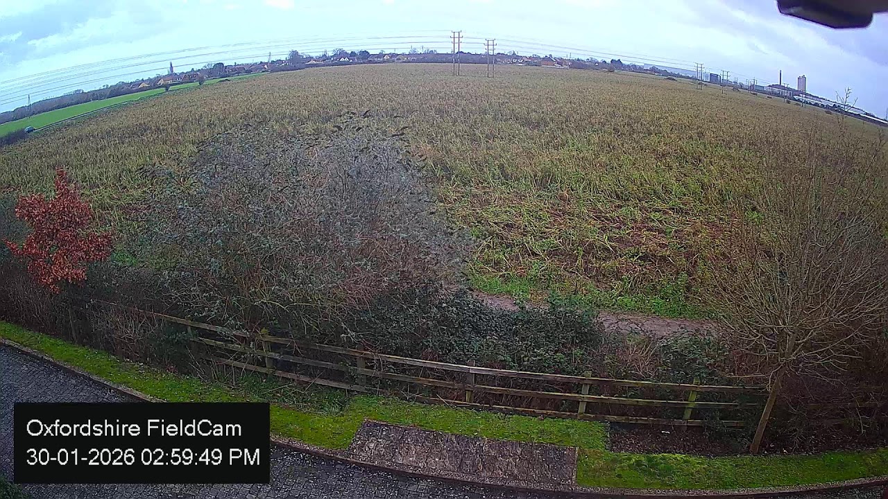 🔴 LIVE Oxfordshire FieldCam - Live Streaming from Oxfordshire, UK