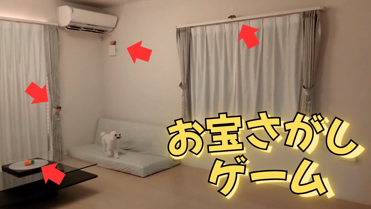 【犬×宝探しゲーム】部屋中にお宝（おもちゃ）を隠して遊んでみたら、思いの外レベルが高すぎた［再アップ］