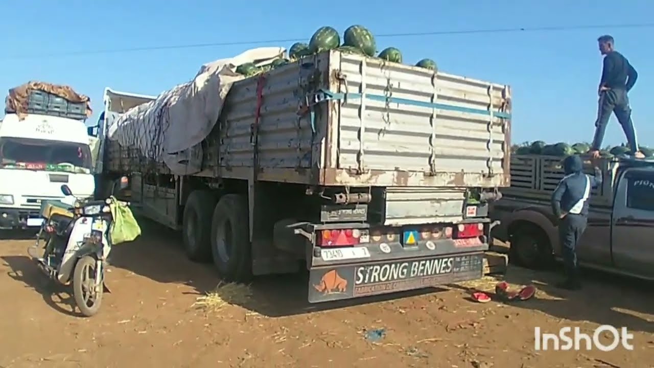 موسم الدليع والشهدية .السوق الجملة للخضر والفواكه  بالمدينة بركان.berkane.
