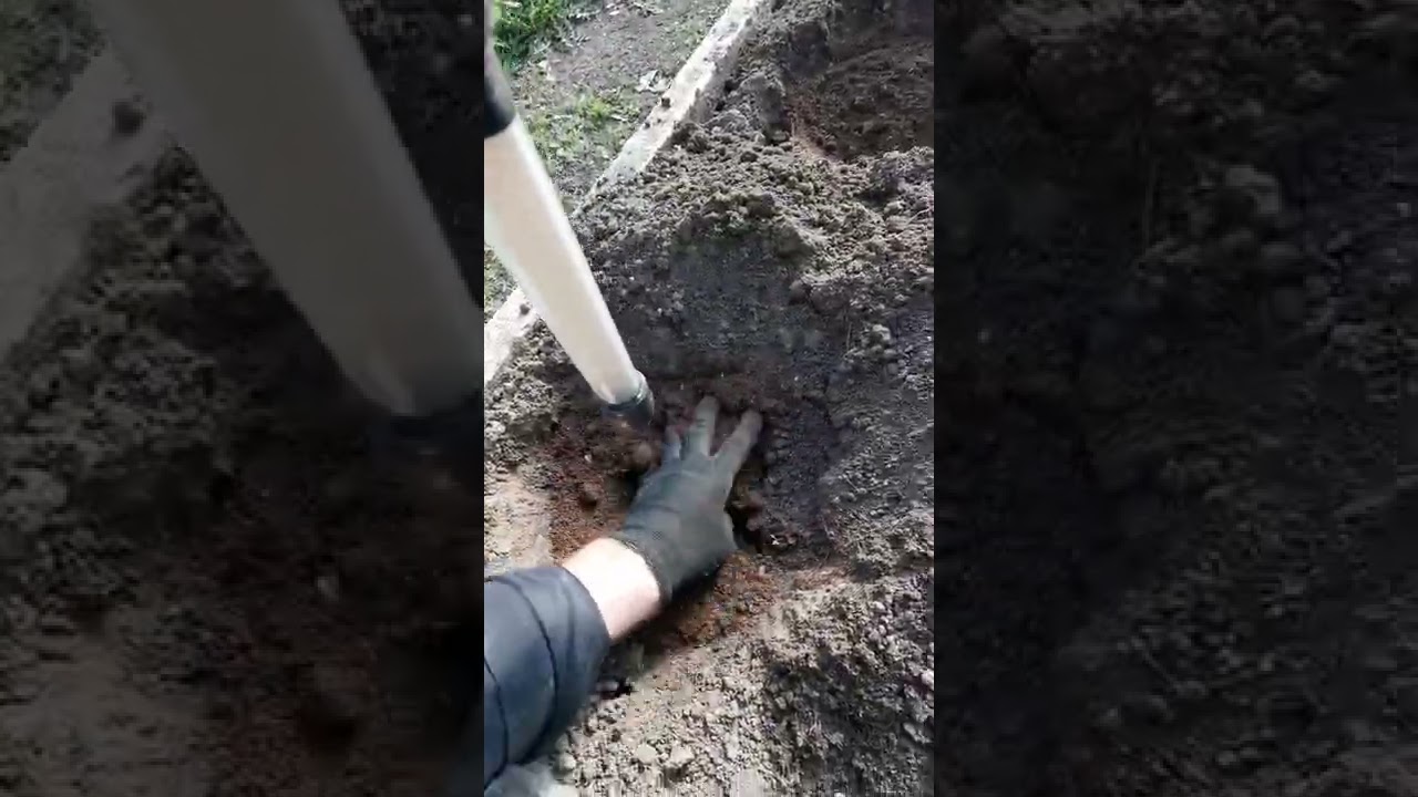 Применение биогумуса