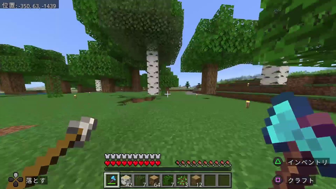 マイクラ