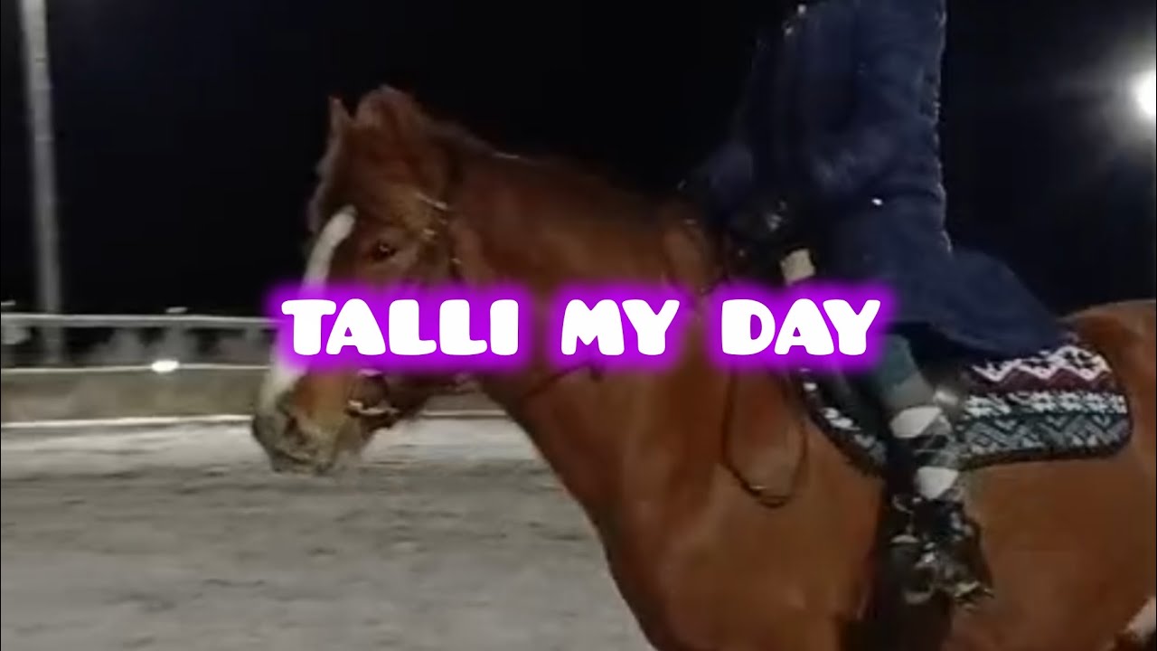 TALLI MY DAY//LilliEq