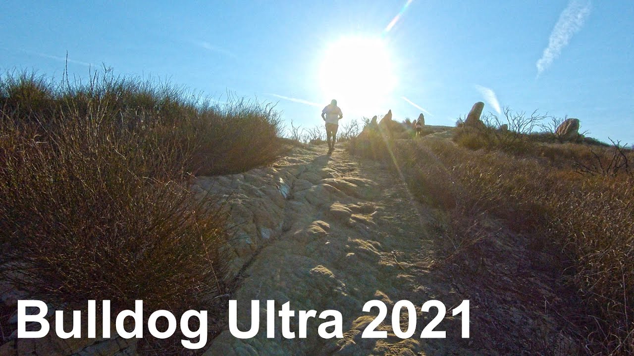 Bulldog Ultra 2021