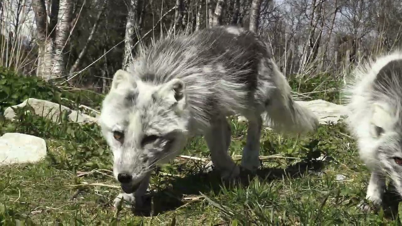 Velkommen til Langedrag Naturpark