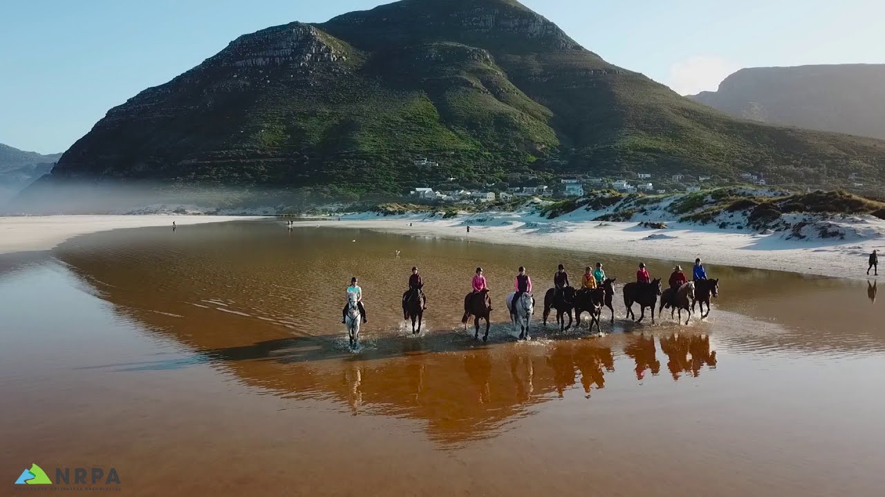 Noordhoek's Horses