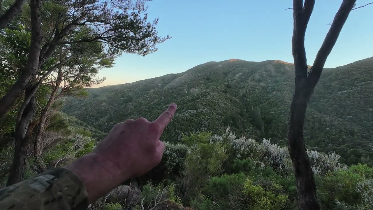 South Wairarapa Showdown - Can The New Gear Rise To The Occasion?