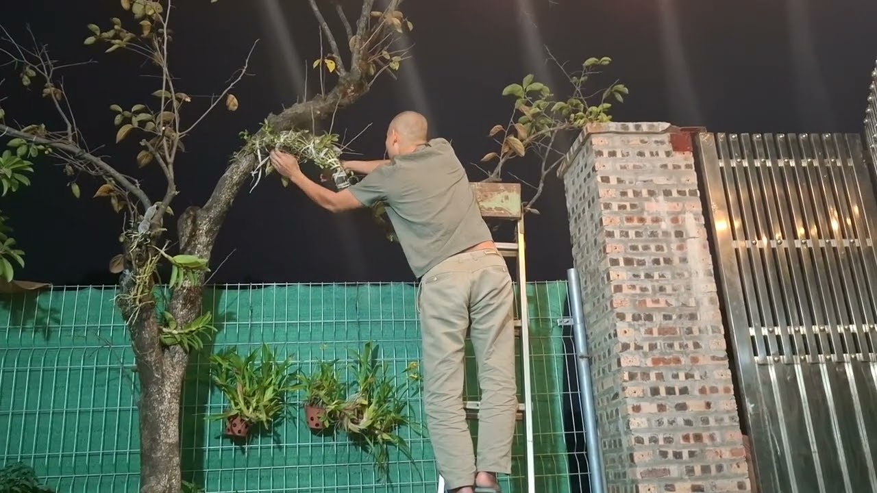 Yêu cây thôi chưa đủ phải vun bồi chăm sóc