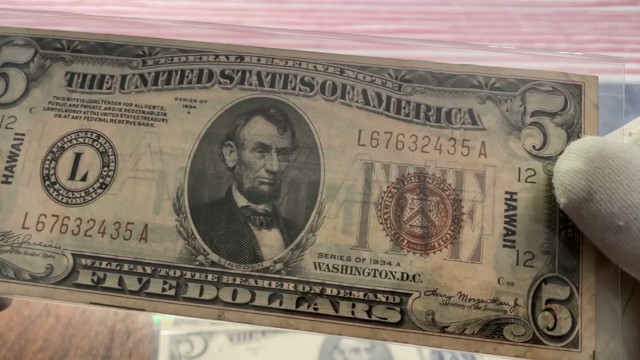 Collection of $5 dollar star banknotes #currency #currencycollecting #papermoney #banknotes 