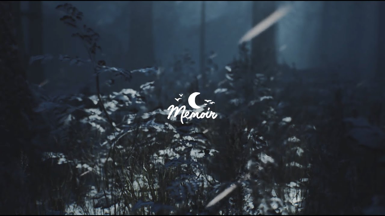 Laffey  - Nightscape 🌙