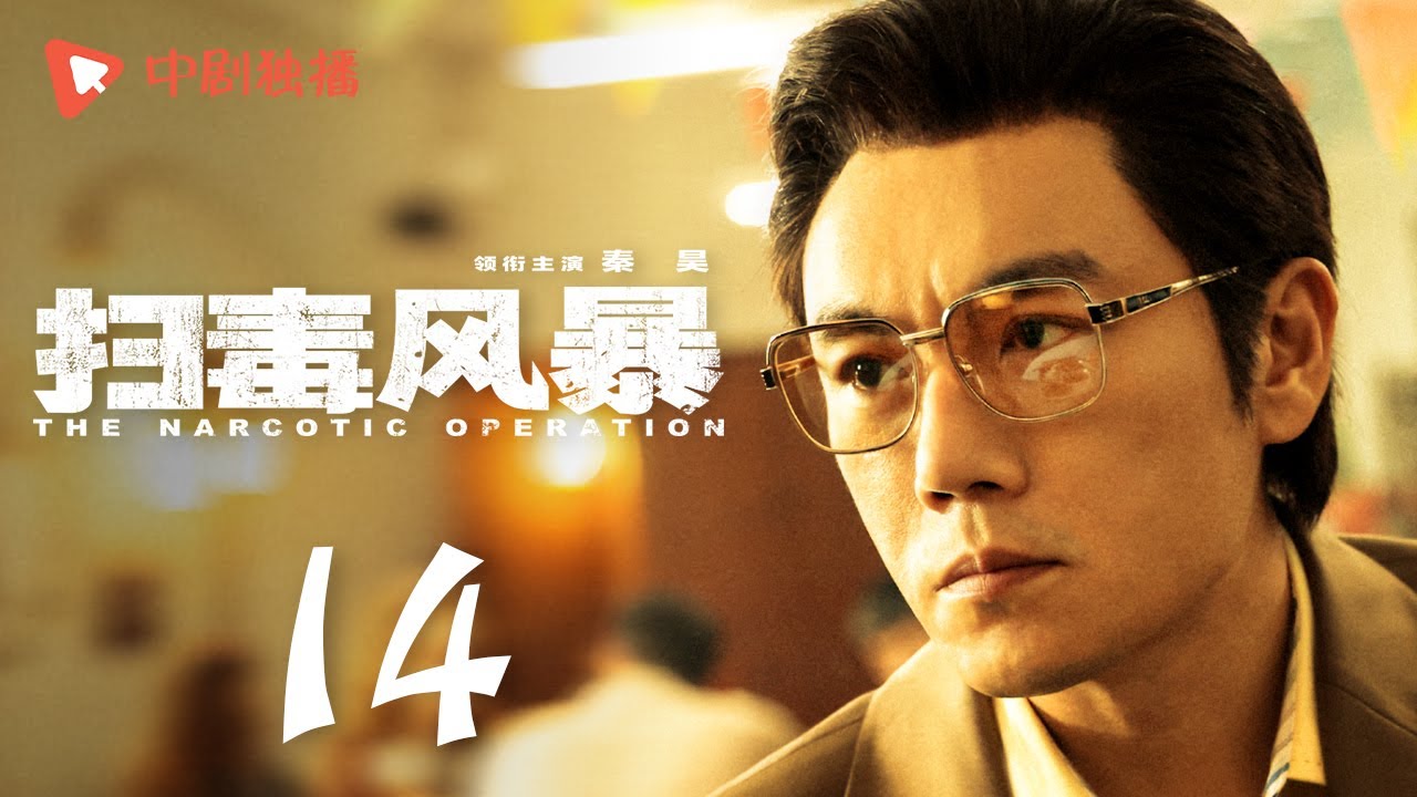 扫毒风暴 14 | The Narcotic Operation 14（段奕宏、秦昊 领衔主演）