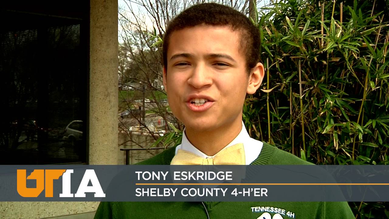 Extension Volunteerism