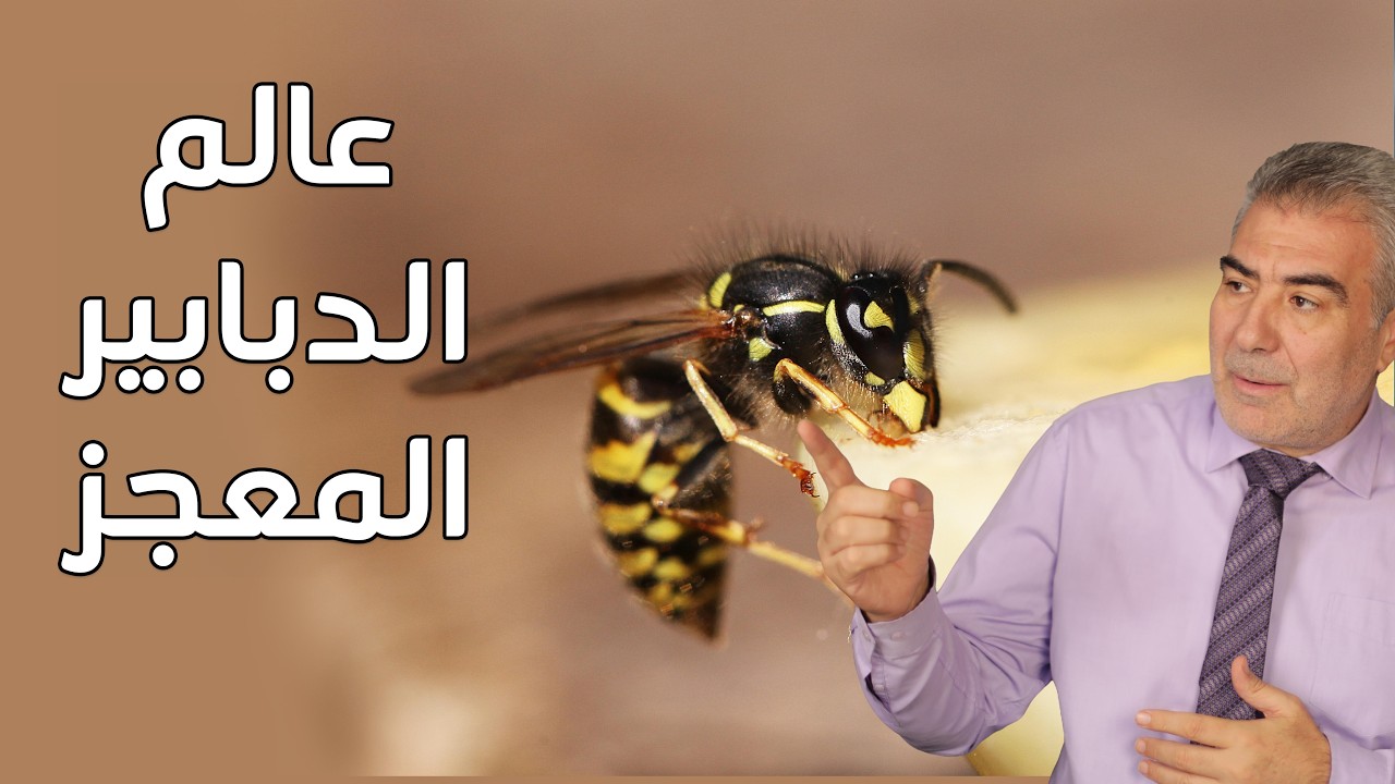 عالم الدبابير الخطير..! لن تتخيل ماذا يحدث إذا اختفت هذه المخلوقات!!