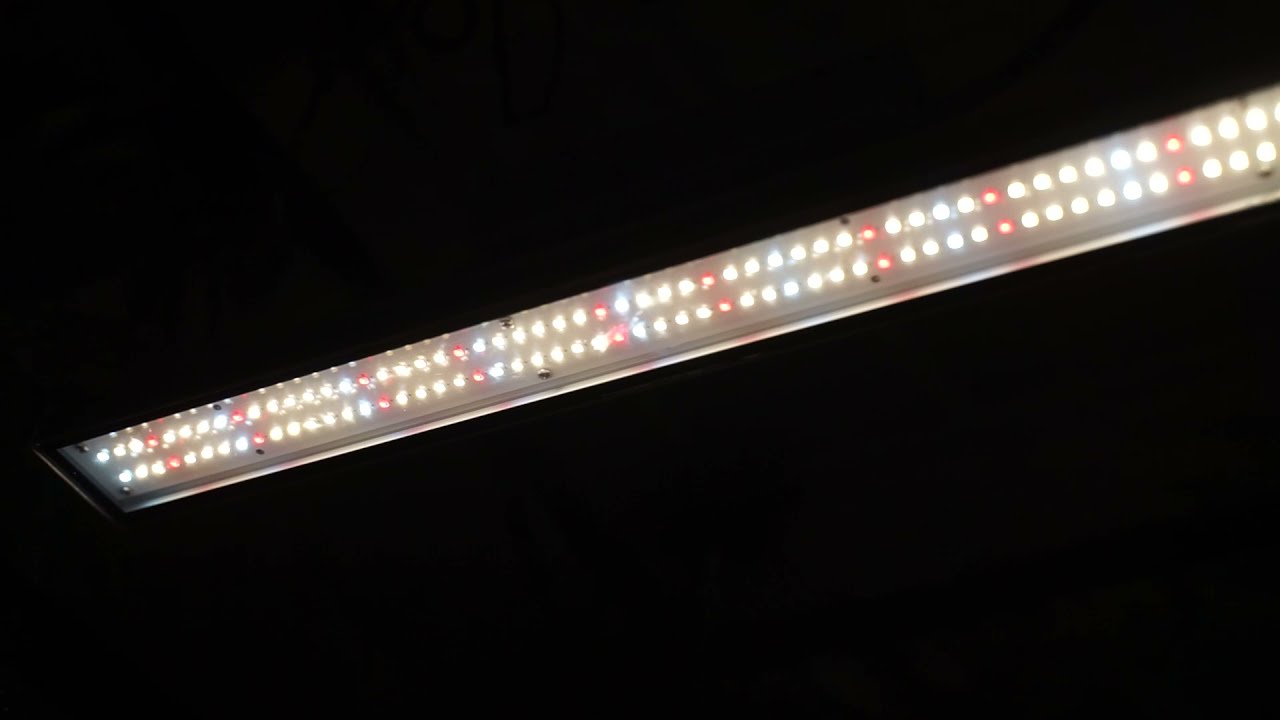 100W Full Spectrum LED Grow Light