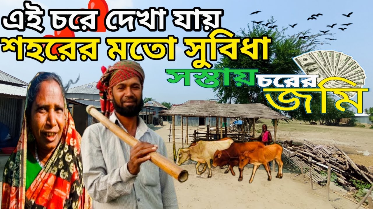 ২ হাজার টাকা শতাংশ উঁচু জমি কিনা যায় বিদ্যুৎ আছে নদী ভাঙ্গন নাই!ফোন আছে!villagelife.chorkhanpur.BDmj