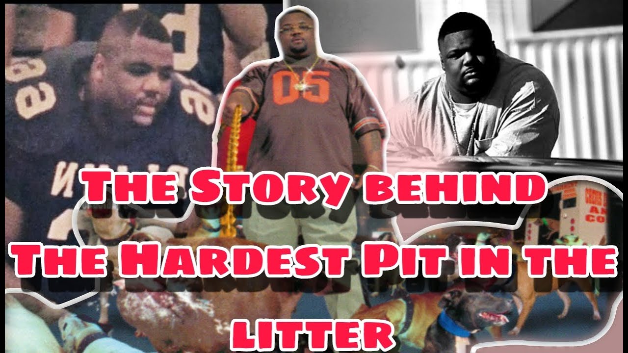 Обзор альбома BIG Pokey «Hardest Pit in the Liter» (шокирующие подробности)😲🤯